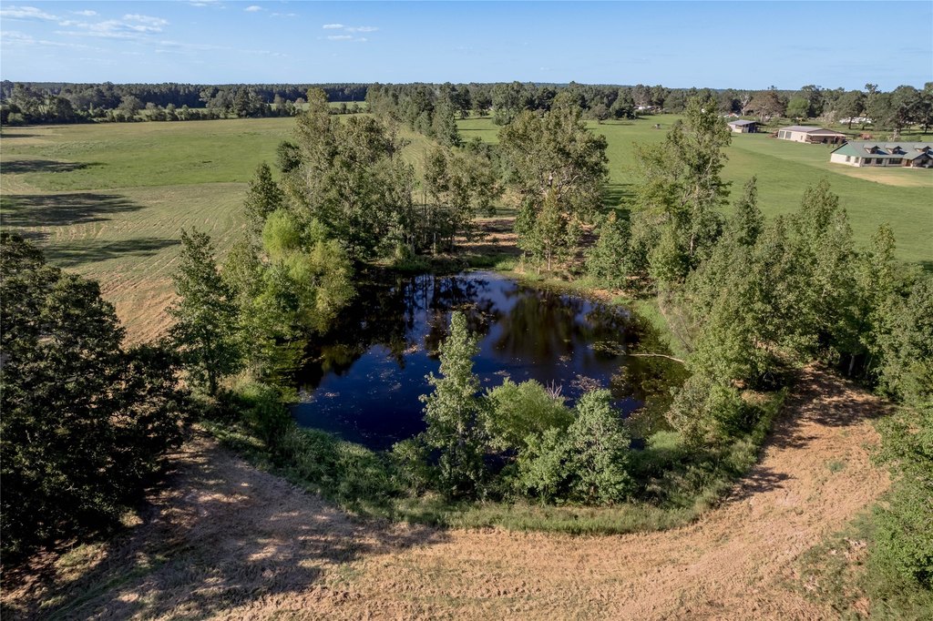 Groveton, Texas, 75845, United States, ,Land,Forsale,1889060