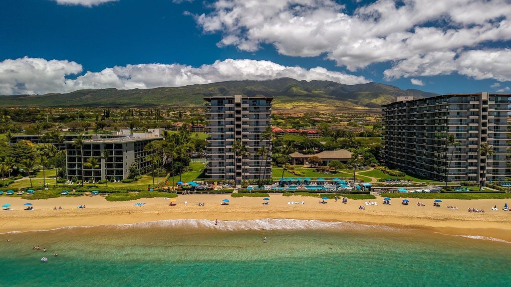 Lahaina, Hawaii, 96761, United States, 1 Bedroom Bedrooms, ,2 BathroomsBathrooms,Residential,Forsale,2007679