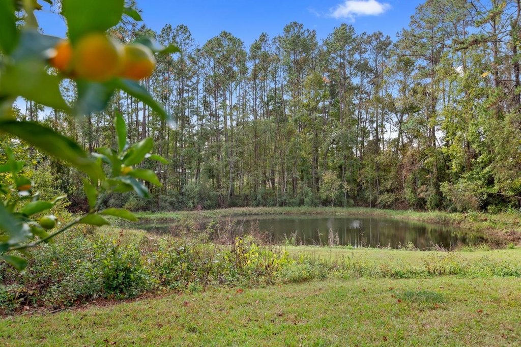 Monticello, Florida, 32344, United States, 3 Bedrooms Bedrooms, ,3 BathroomsBathrooms,Residential,Forsale,1995097