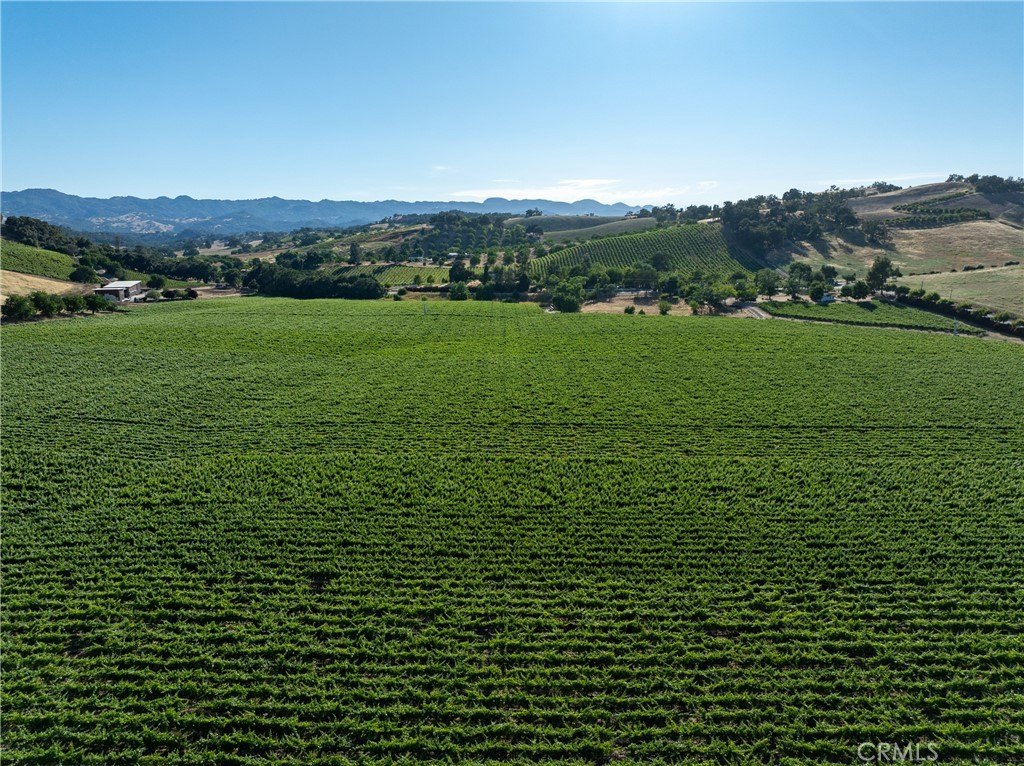 Paso Robles, California, 93446, United States, 3 Bedrooms Bedrooms, ,2 BathroomsBathrooms,Residential,Forsale,1899803