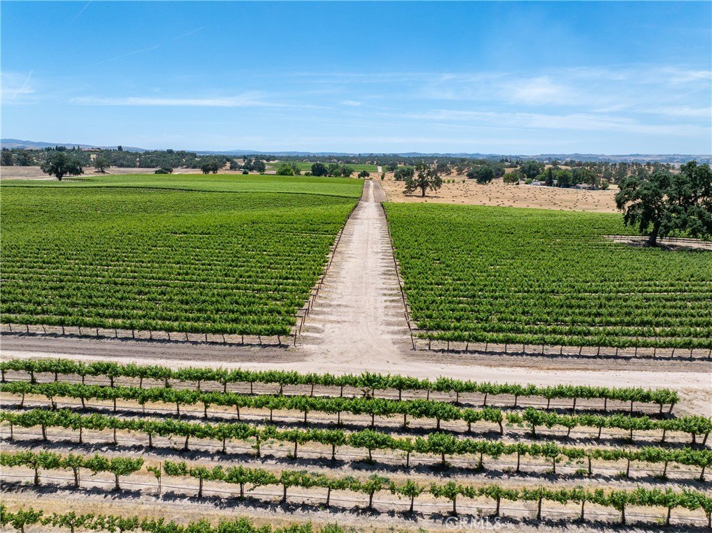 Paso Robles, California, 93446, United States, 12 Bedrooms Bedrooms, ,7.5 BathroomsBathrooms,Residential,Forsale,1899801