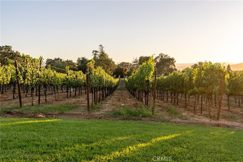 Gilroy, California, 95020, United States, ,Commercial,Forsale,2004825