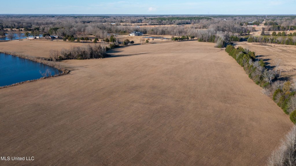 Flora, Mississippi, 39071, United States, ,Land,Forsale,1908059