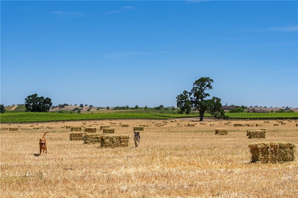 Paso Robles, California, 93446, United States, 12 Bedrooms Bedrooms, ,7.5 BathroomsBathrooms,Residential,Forsale,1899801