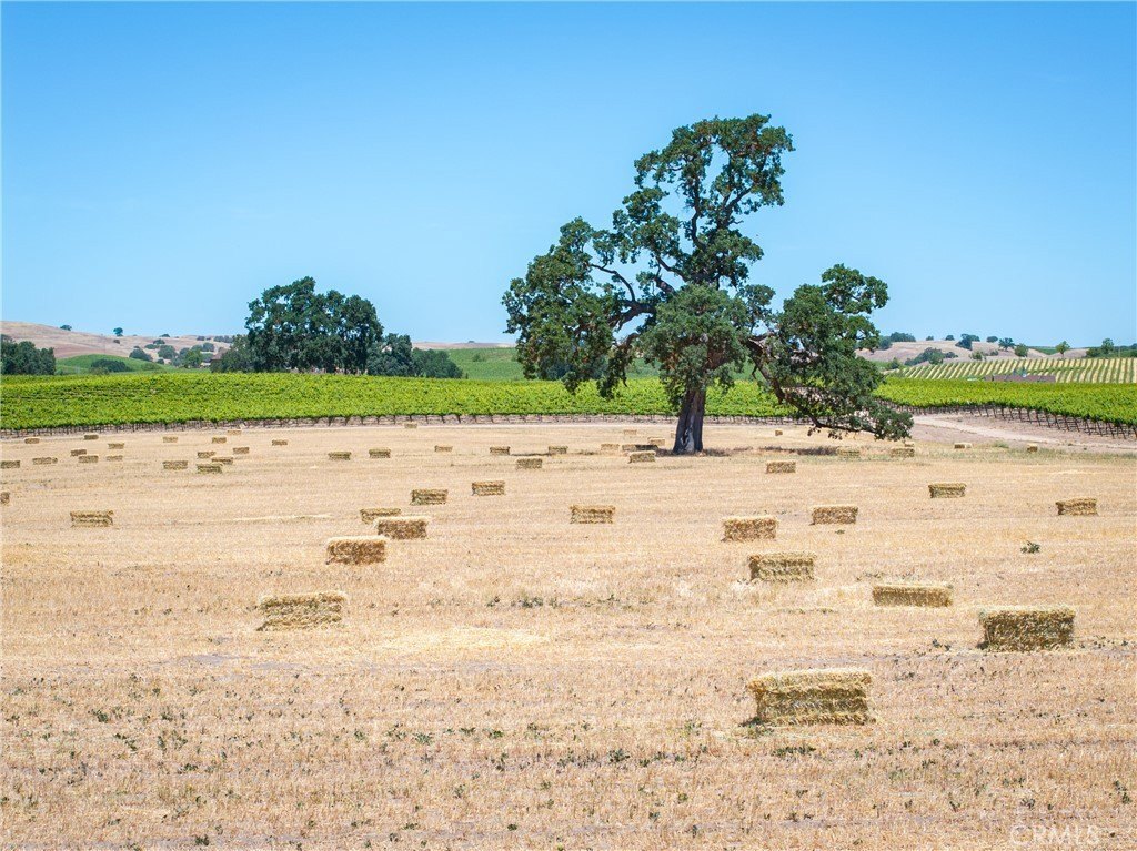 Paso Robles, California, 93446, United States, 12 Bedrooms Bedrooms, ,7.5 BathroomsBathrooms,Residential,Forsale,1899801