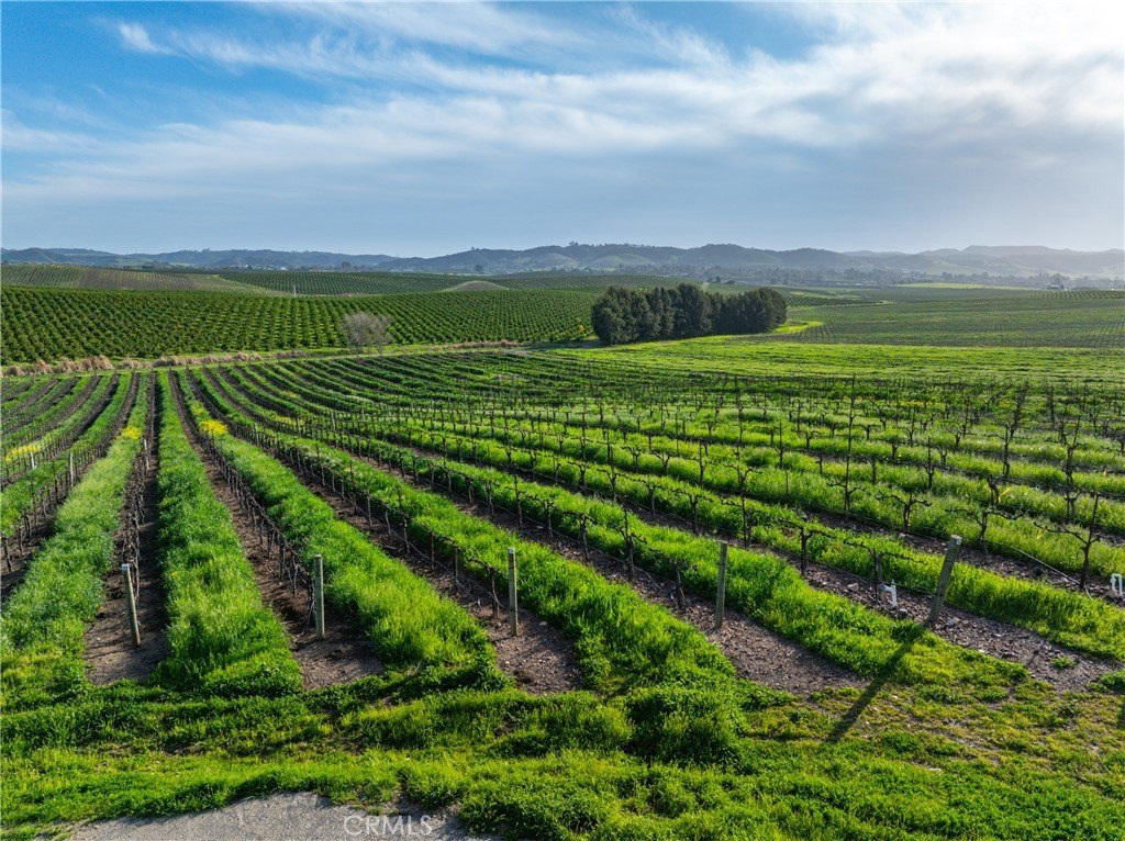 San Luis Obispo, California, 93401, United States, ,Commercial,Forsale,2004826