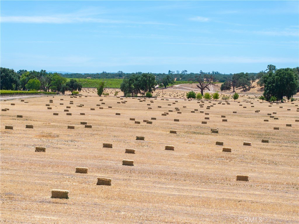 Paso Robles, California, 93446, United States, 12 Bedrooms Bedrooms, ,7.5 BathroomsBathrooms,Residential,Forsale,1899801