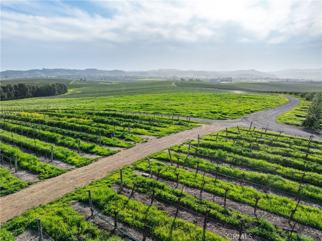 San Luis Obispo, California, 93401, United States, ,Commercial,Forsale,2004826