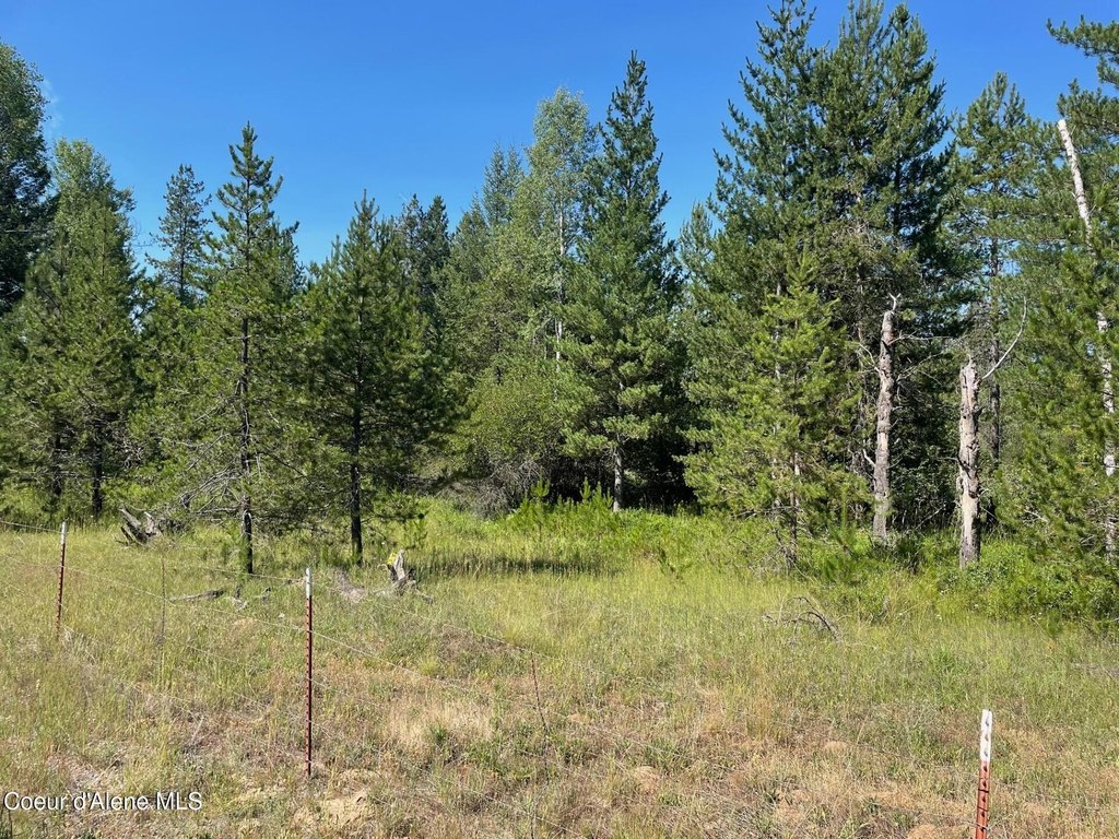 Priest River, Idaho, 83856, United States, ,Land,Forsale,1913857