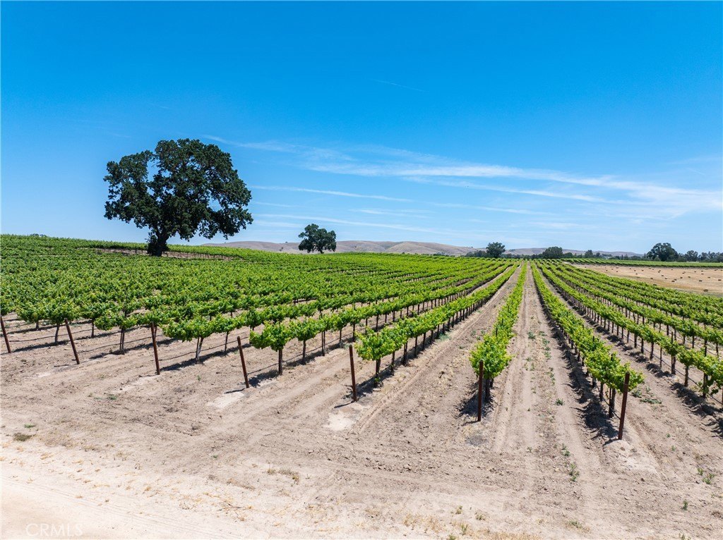 Paso Robles, California, 93446, United States, 12 Bedrooms Bedrooms, ,7.5 BathroomsBathrooms,Residential,Forsale,1899801