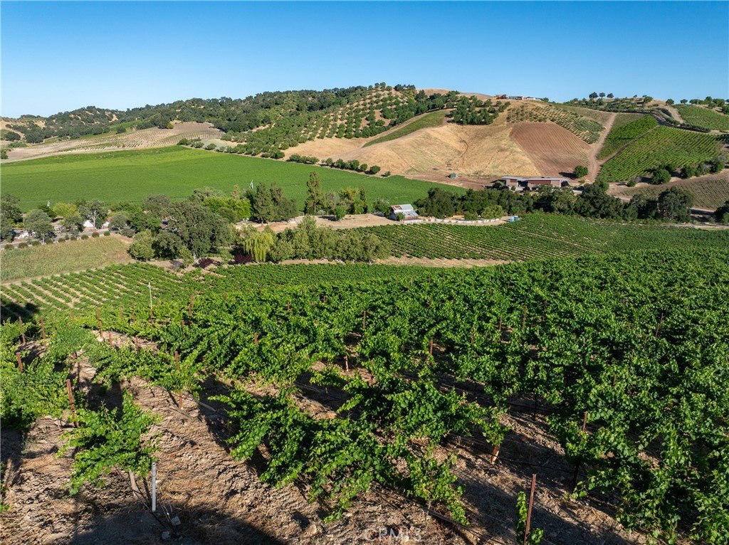 Paso Robles, California, 93446, United States, 3 Bedrooms Bedrooms, ,2 BathroomsBathrooms,Residential,Forsale,1899803