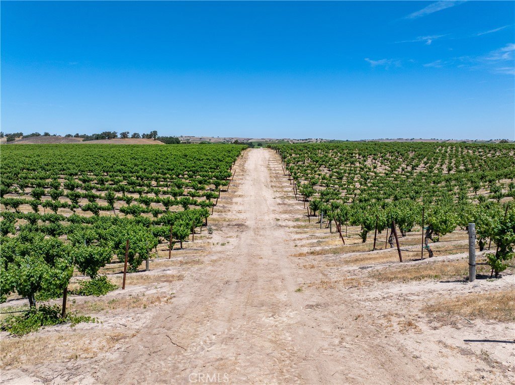 Paso Robles, California, 93446, United States, 12 Bedrooms Bedrooms, ,7.5 BathroomsBathrooms,Residential,Forsale,1899801