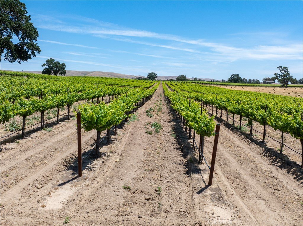 Paso Robles, California, 93446, United States, 12 Bedrooms Bedrooms, ,7.5 BathroomsBathrooms,Residential,Forsale,1899801