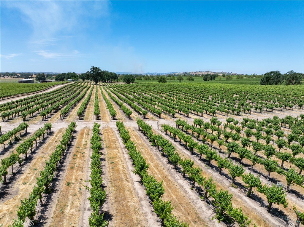 Paso Robles, California, 93446, United States, 12 Bedrooms Bedrooms, ,7.5 BathroomsBathrooms,Residential,Forsale,1899801