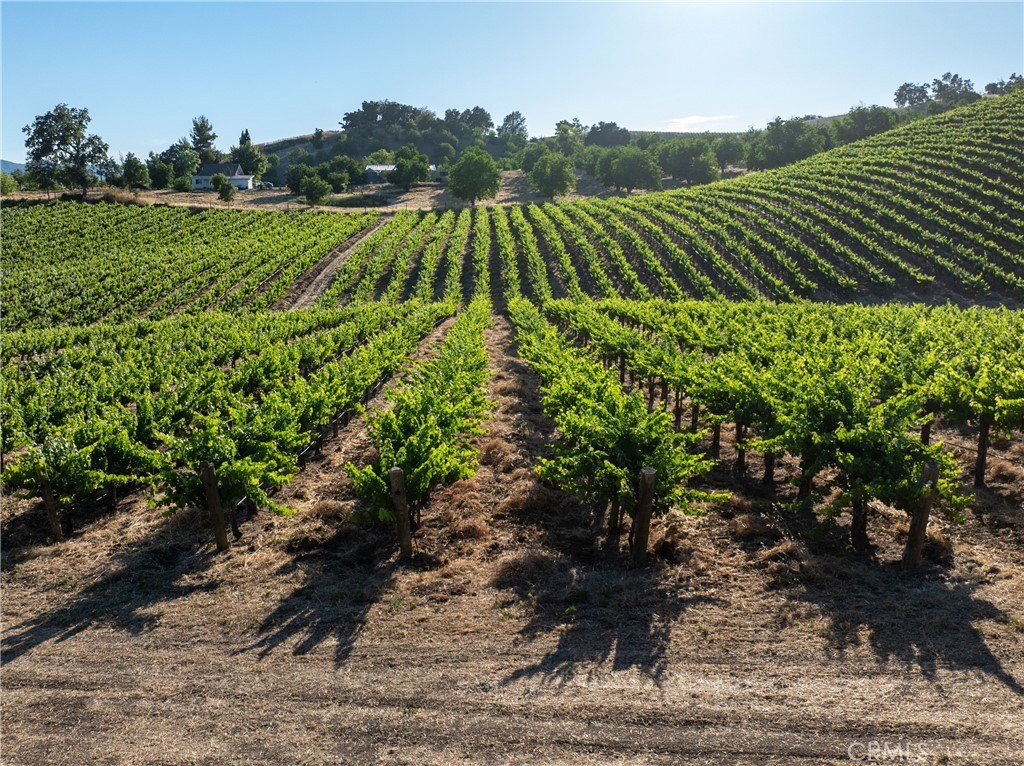 Paso Robles, California, 93446, United States, 3 Bedrooms Bedrooms, ,2 BathroomsBathrooms,Residential,Forsale,1899803