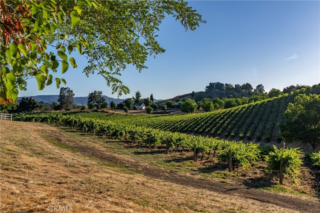Paso Robles, California, 93446, United States, 3 Bedrooms Bedrooms, ,2 BathroomsBathrooms,Residential,Forsale,1899803
