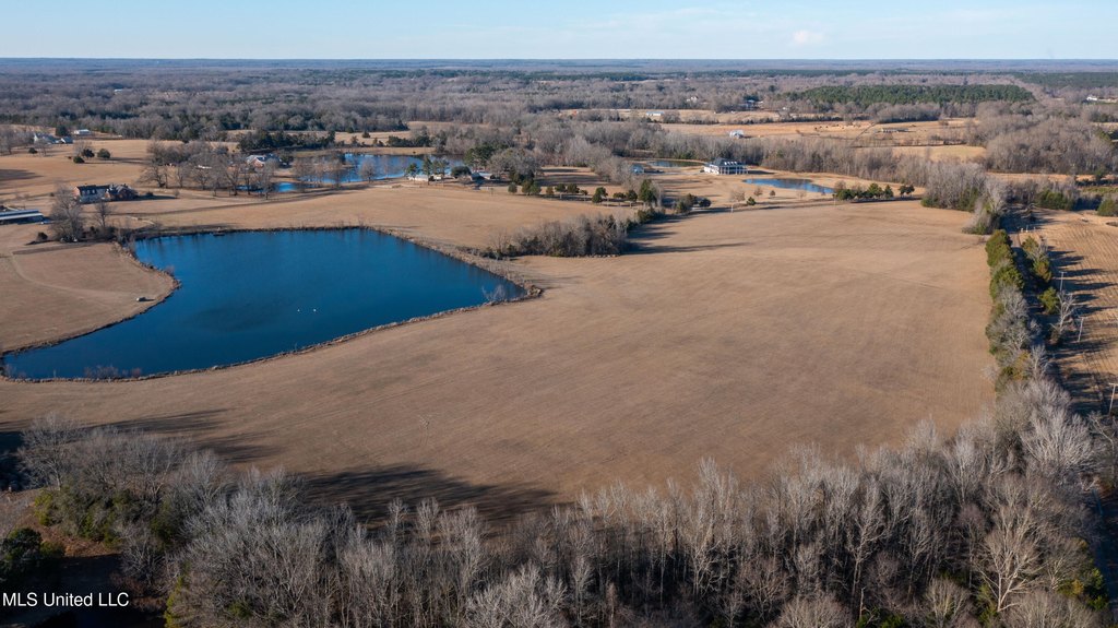 Flora, Mississippi, 39071, United States, ,Land,Forsale,1908059