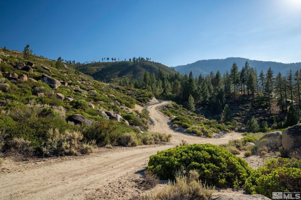 Washoe Valley, Nevada, 89704, United States, ,Land,Forsale,1953744