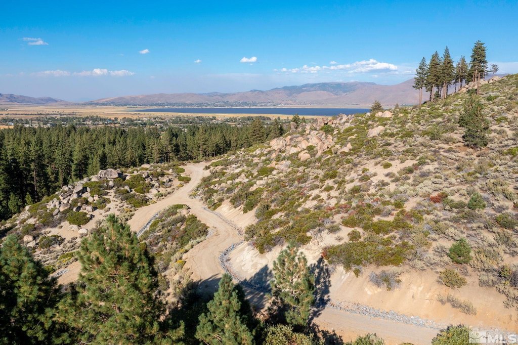Washoe Valley, Nevada, 89704, United States, ,Land,Forsale,1953744