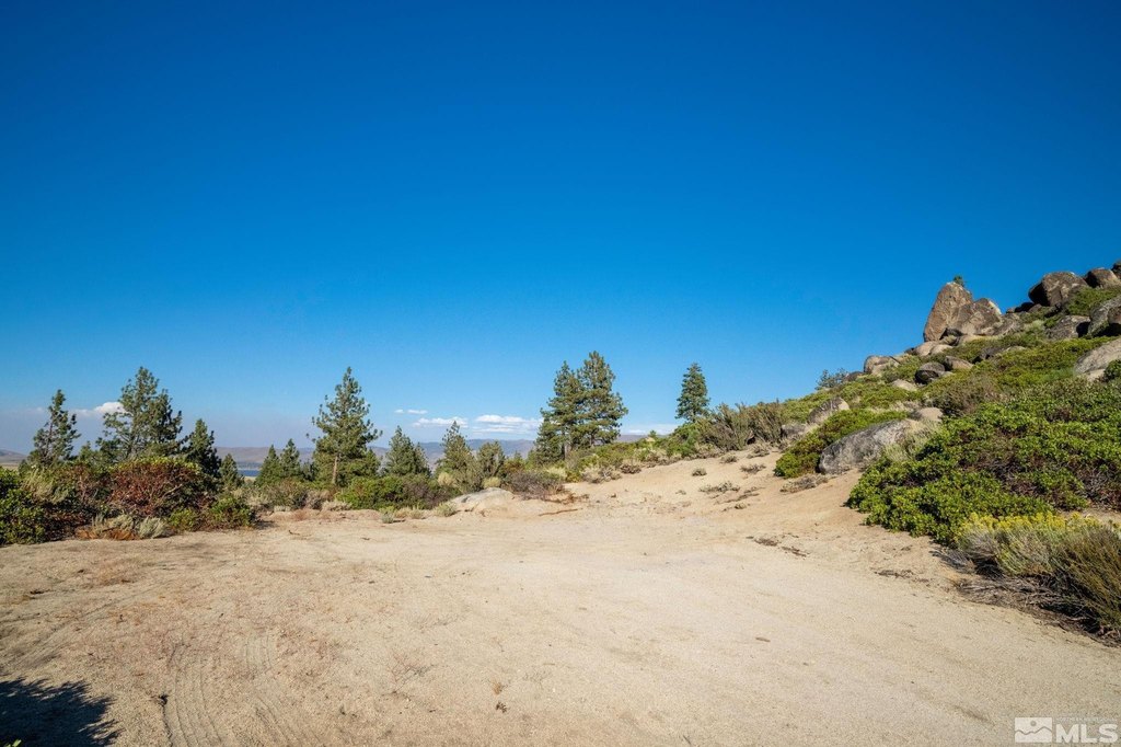Washoe Valley, Nevada, 89704, United States, ,Land,Forsale,1953744