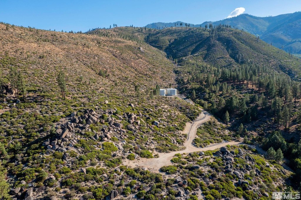 Washoe Valley, Nevada, 89704, United States, ,Land,Forsale,1953744