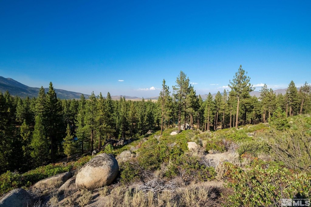Washoe Valley, Nevada, 89704, United States, ,Land,Forsale,1953744