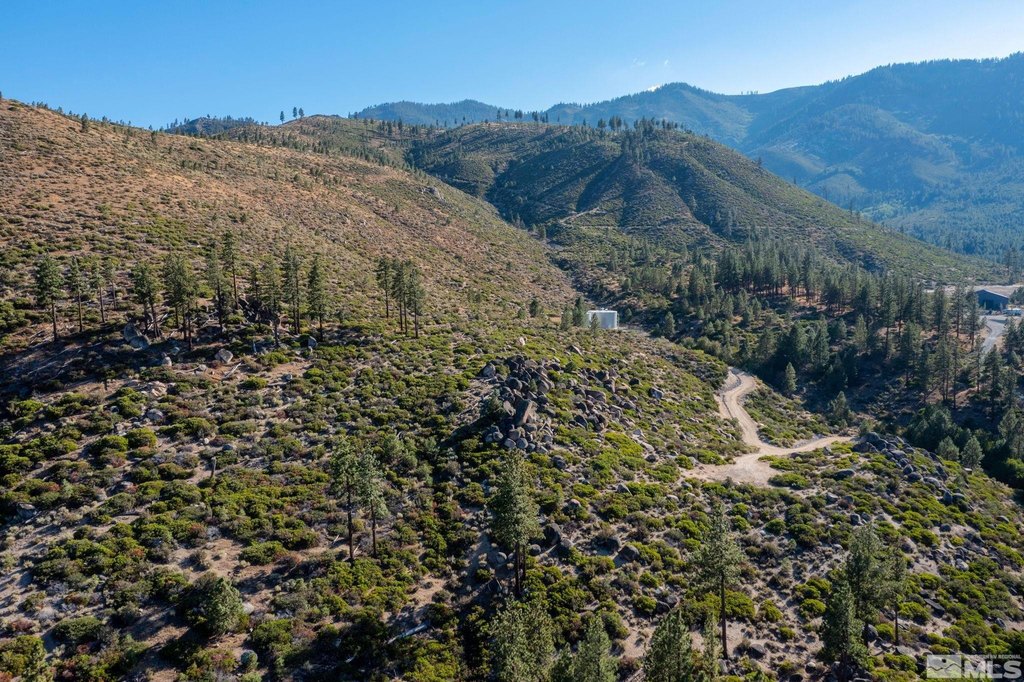 Washoe Valley, Nevada, 89704, United States, ,Land,Forsale,1953744