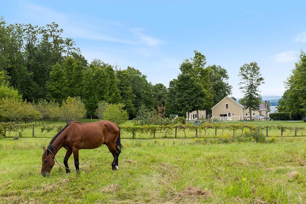 Essex, New York, 12936, United States, 6 Bedrooms Bedrooms, ,5.5 BathroomsBathrooms,Residential,Forsale,1953150