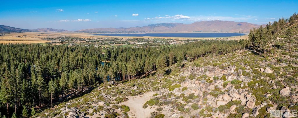 Washoe Valley, Nevada, 89704, United States, ,Land,Forsale,1953744