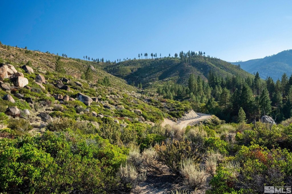 Washoe Valley, Nevada, 89704, United States, ,Land,Forsale,1953744