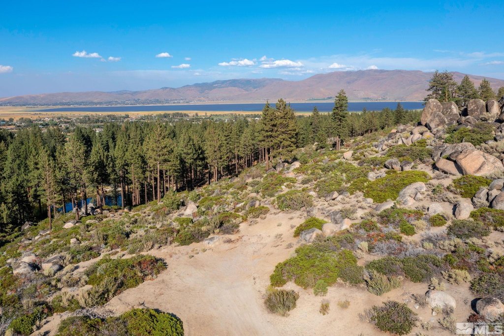 Washoe Valley, Nevada, 89704, United States, ,Land,Forsale,1953744
