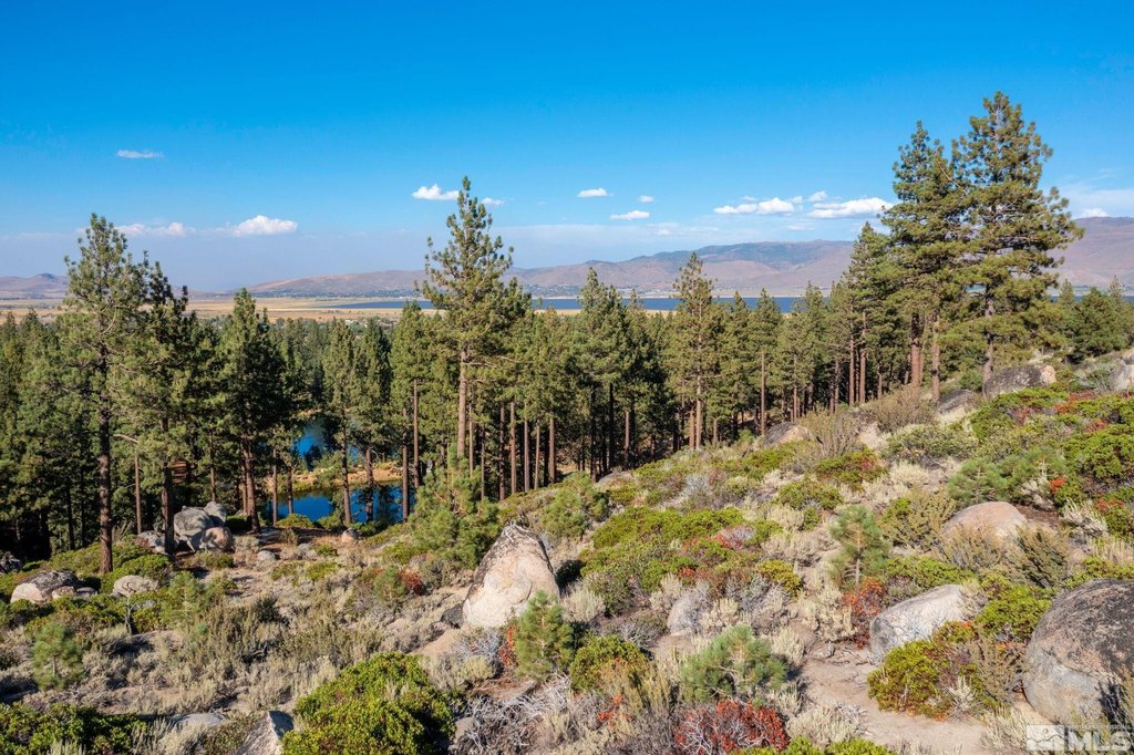 Washoe Valley, Nevada, 89704, United States, ,Land,Forsale,1953744