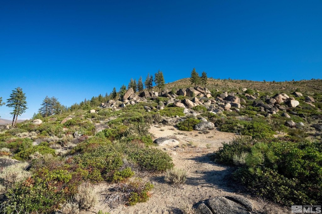 Washoe Valley, Nevada, 89704, United States, ,Land,Forsale,1953744