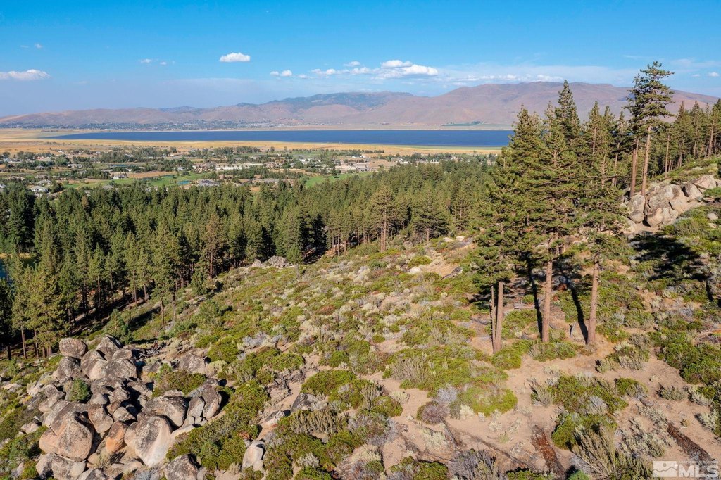 Washoe Valley, Nevada, 89704, United States, ,Land,Forsale,1953744
