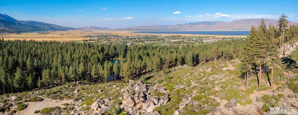 Washoe Valley, Nevada, 89704, United States, ,Land,Forsale,1953744