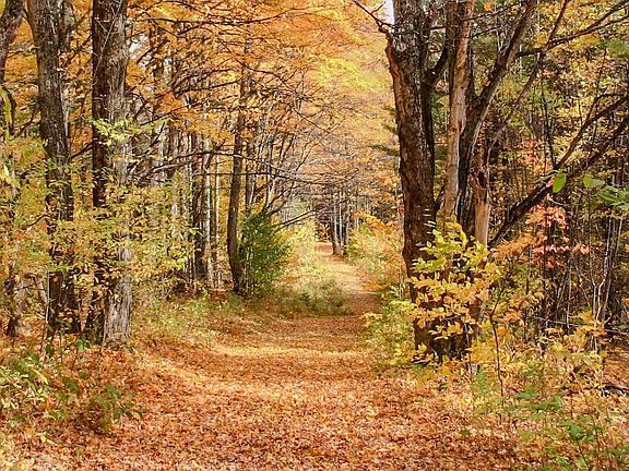 Barnard, Vermont, 05031, United States, 3 Bedrooms Bedrooms, ,3 BathroomsBathrooms,Residential,Forsale,1999506