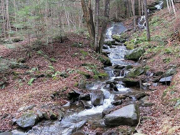 Barnard, Vermont, 05031, United States, 3 Bedrooms Bedrooms, ,3 BathroomsBathrooms,Residential,Forsale,1999506