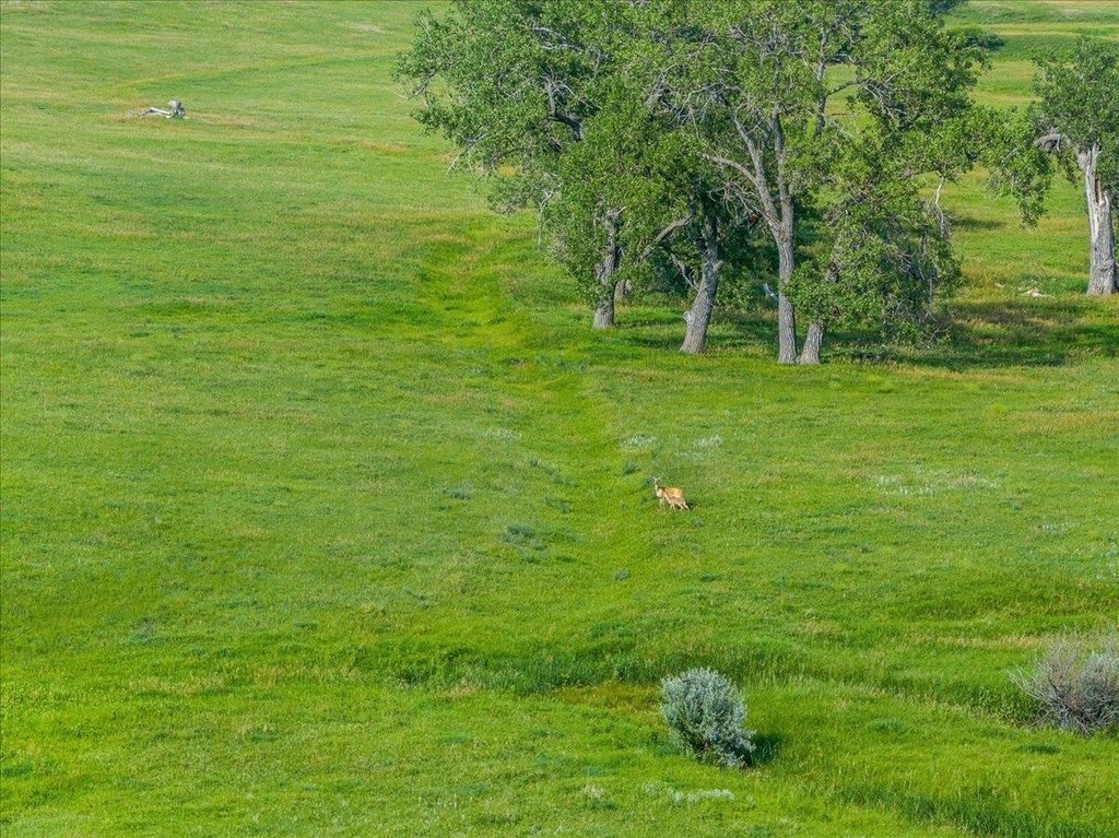 Piedmont, South Dakota, 57769, United States, ,Residential,Forsale,1918994