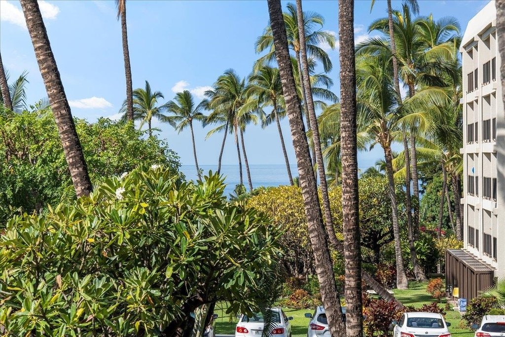 Kihei, Hawaii, 96753, United States, 1 Bedroom Bedrooms, ,1 BathroomBathrooms,Residential,Forsale,1990116