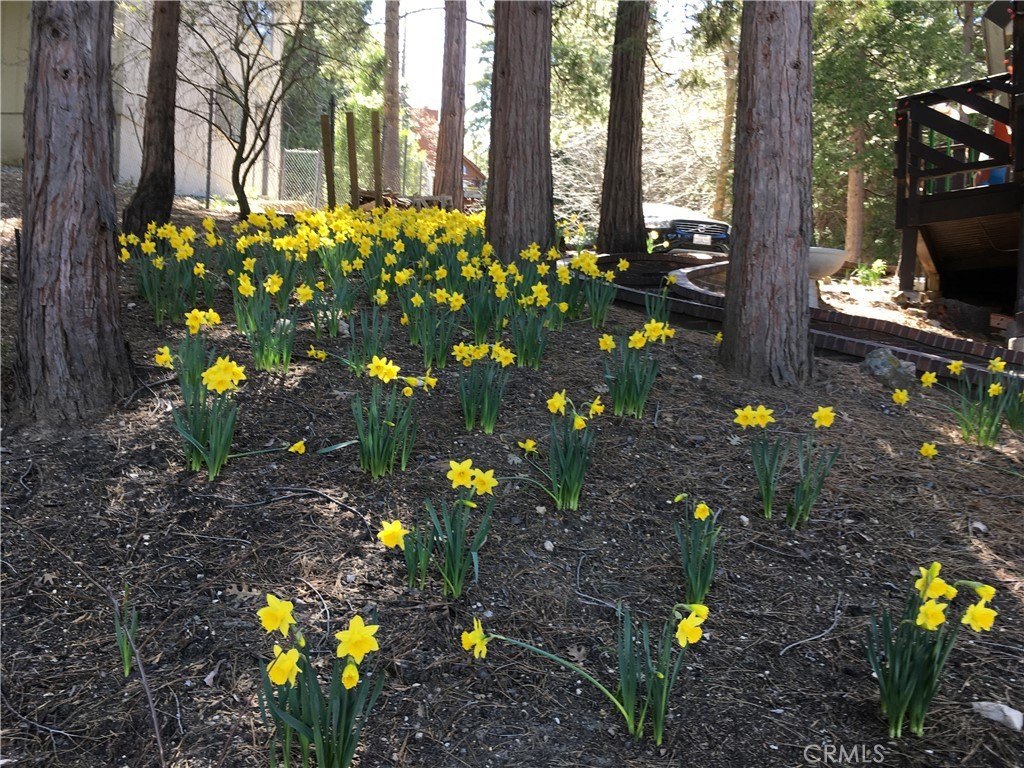 Lake Arrowhead, California, 92352, United States, 4 Bedrooms Bedrooms, ,3 BathroomsBathrooms,Residential,Forsale,1934032