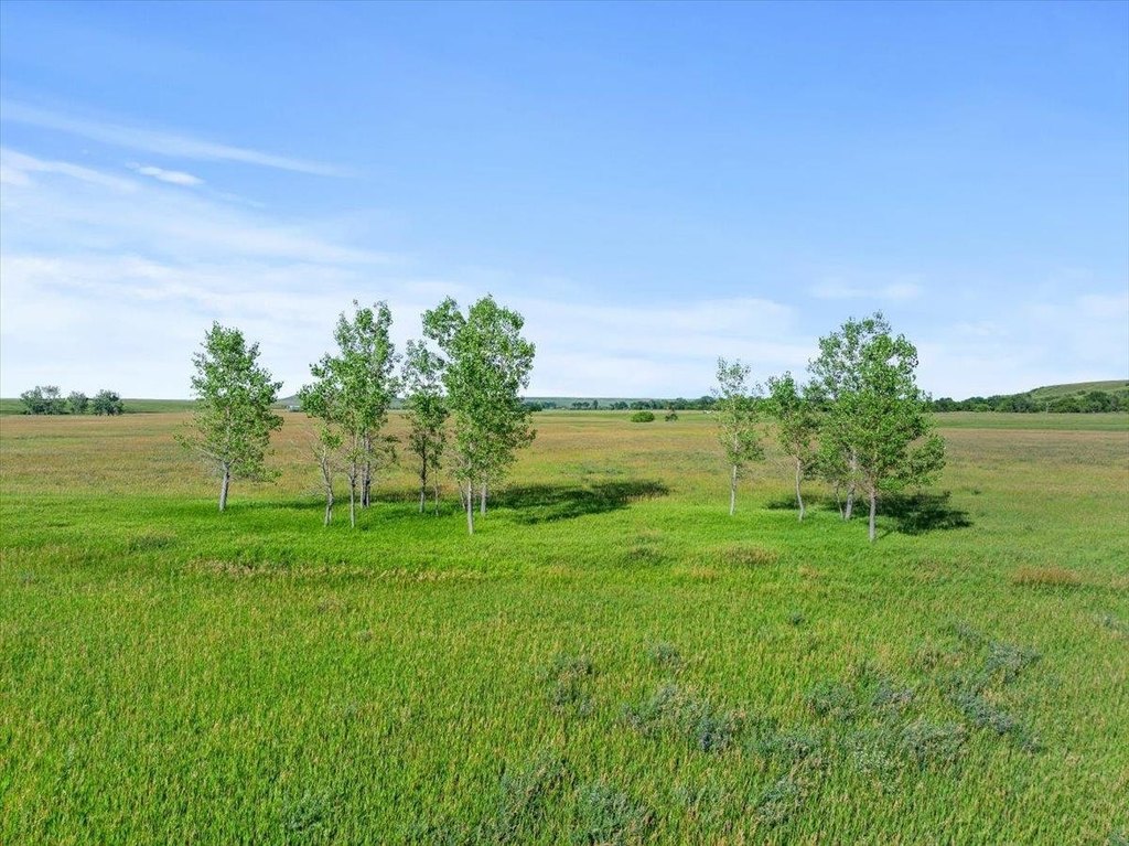 Piedmont, South Dakota, 57769, United States, ,Residential,Forsale,1918994