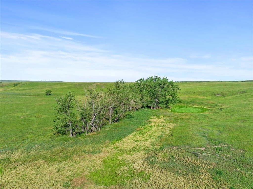 Piedmont, South Dakota, 57769, United States, ,Residential,Forsale,1918994