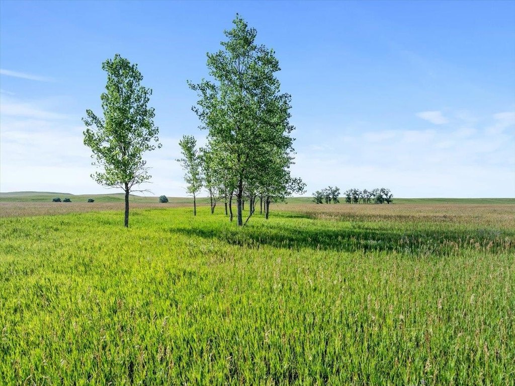 Piedmont, South Dakota, 57769, United States, ,Residential,Forsale,1918994