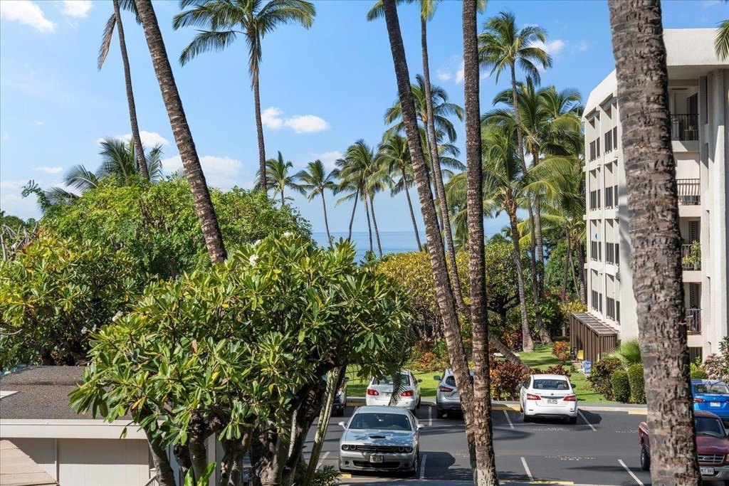 Kihei, Hawaii, 96753, United States, 1 Bedroom Bedrooms, ,1 BathroomBathrooms,Residential,Forsale,1990116