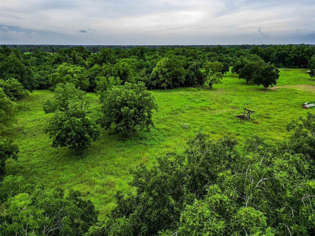 Brookshire, Texas, 77423, United States, ,Land,Forsale,1936483