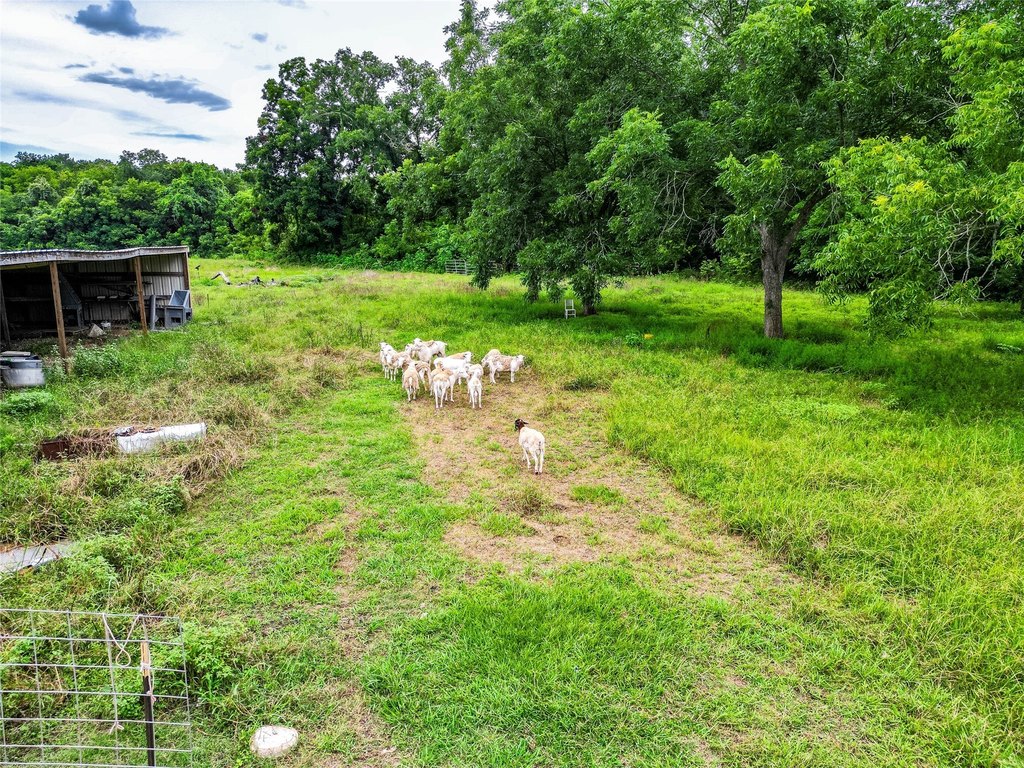 Brookshire, Texas, 77423, United States, ,Land,Forsale,1936483