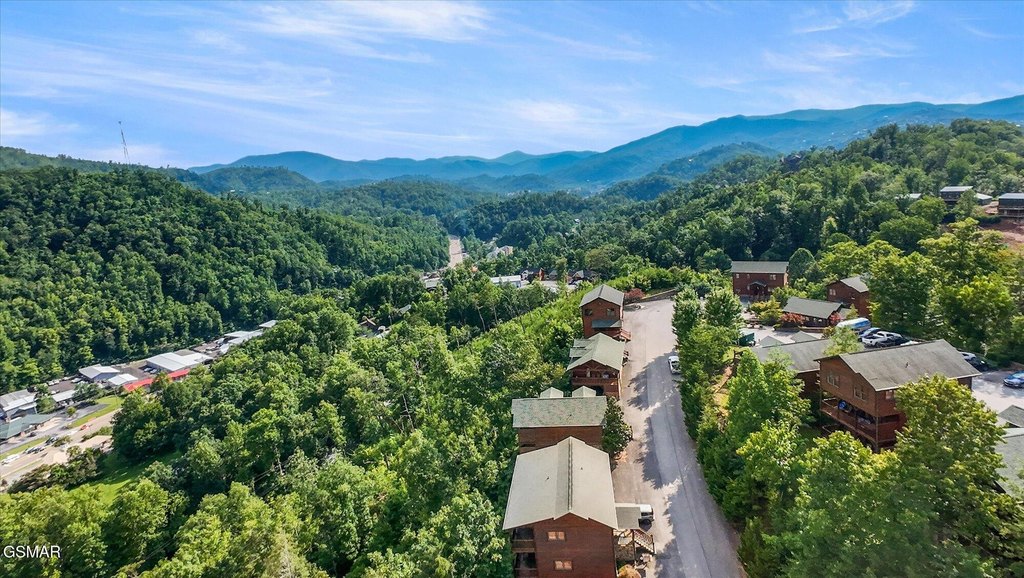 Gatlinburg, Tennessee, 37738, United States, 2 Bedrooms Bedrooms, ,2 BathroomsBathrooms,Residential,Forsale,1910221