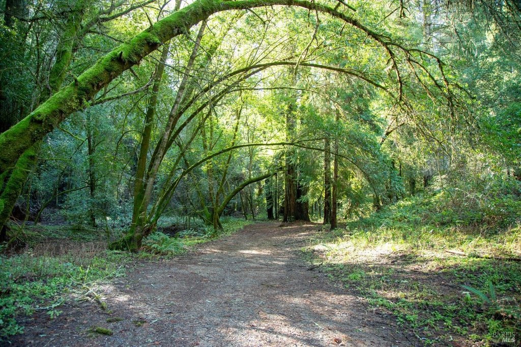 Healdsburg, California, 95448, United States, ,Land,Forsale,1934042