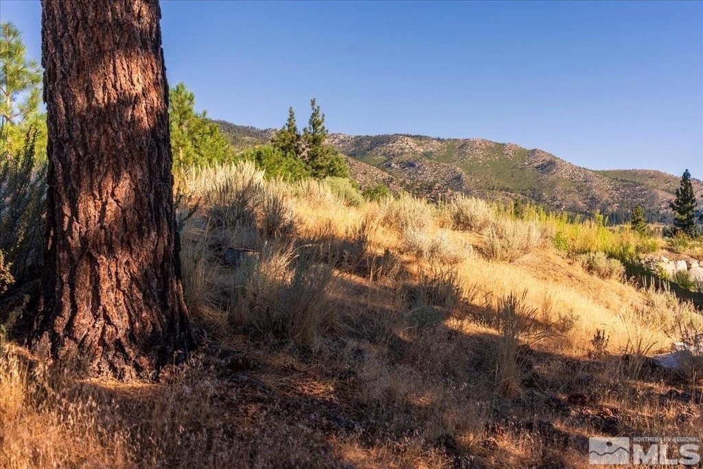 Carson City, Nevada, 89705, United States, ,Land,Forsale,1886463