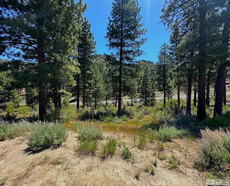 Carson City, Nevada, 89705, United States, ,Land,Forsale,1886463